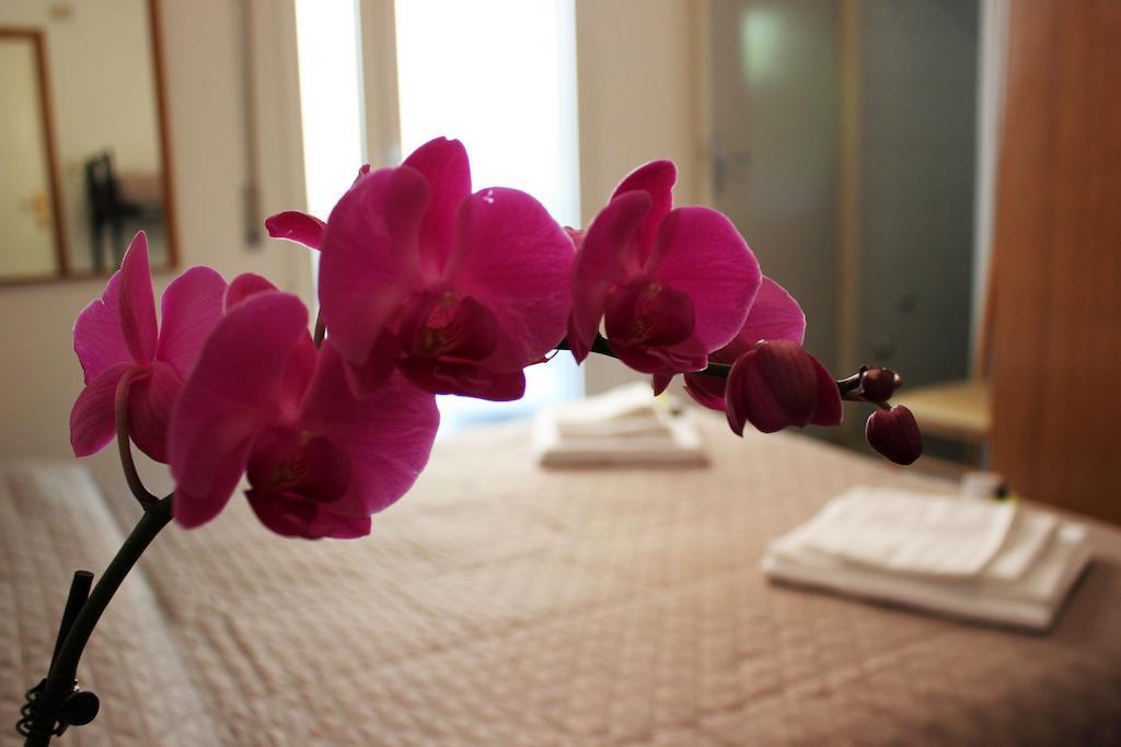 Hotel Leda Rimini Rum bild